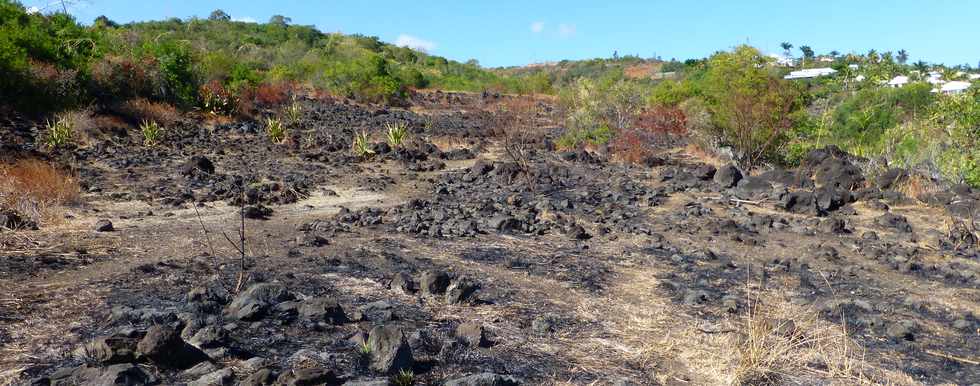 St-Paul - Entre le chemin pav et la ravine du Bernica - zone incendie