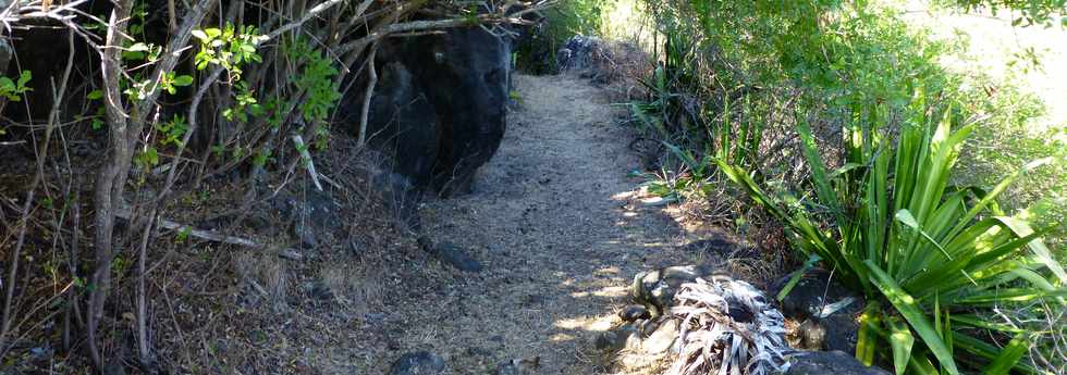 St-Paul -  ravine du Bernica - Sentier du Bassin Sandrine