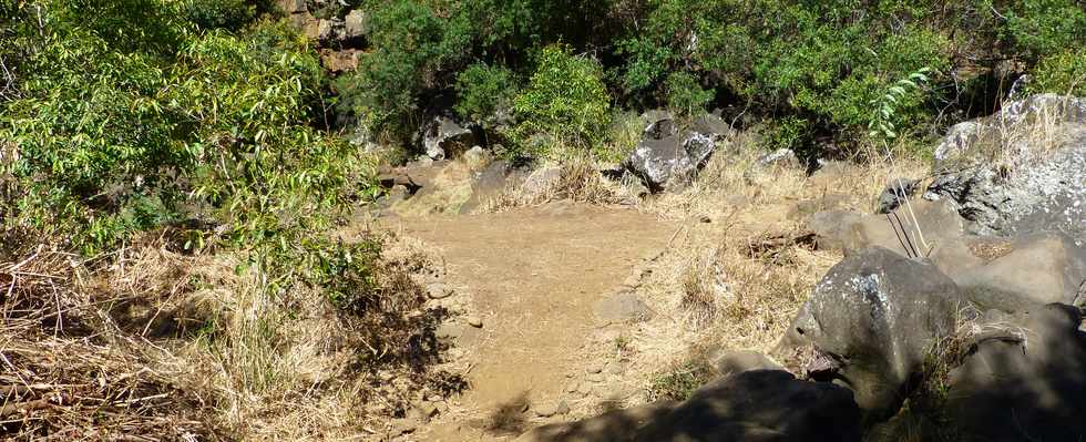 St-Paul -  ravine du Bernica - Sentier du Bassin Sandrine