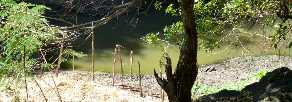 St-Paul -  ravine du Bernica -  Bassin Sandrine