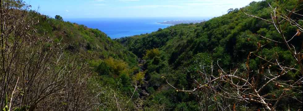 St-Paul -  ravine du Bernica - Sentier du Bassin Sandrine