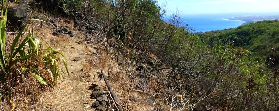 St-Paul -  ravine du Bernica - Sentier du Bassin Sandrine