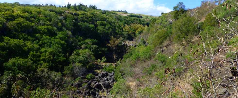 St-Paul -  ravine du Bernica - Bassin Sandrine