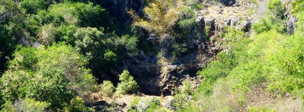 St-Paul -  ravine du Bernica -