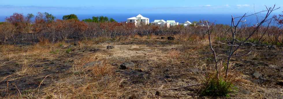 St-Paul - Fleurimont - Savane