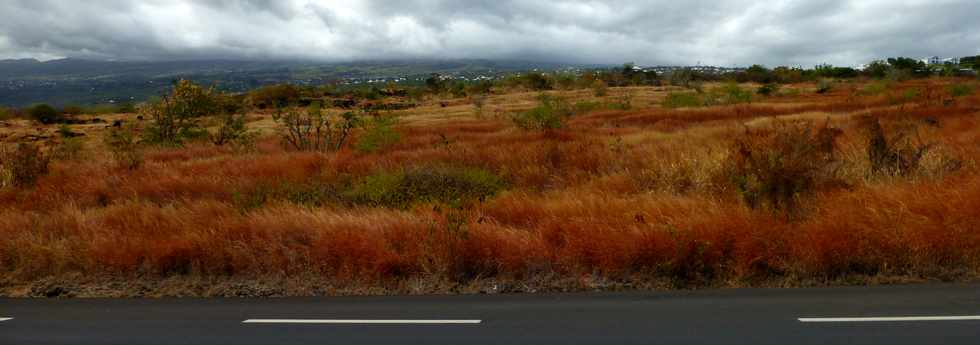 St-Paul - Plateau Caillou - Savane