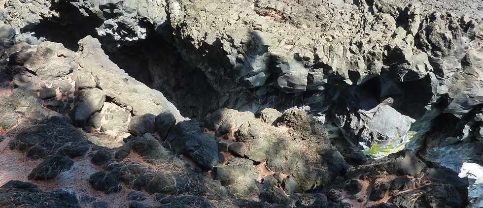 Dcembre 2013 - Ste-Rose - Sentier littoral vers les cascades -