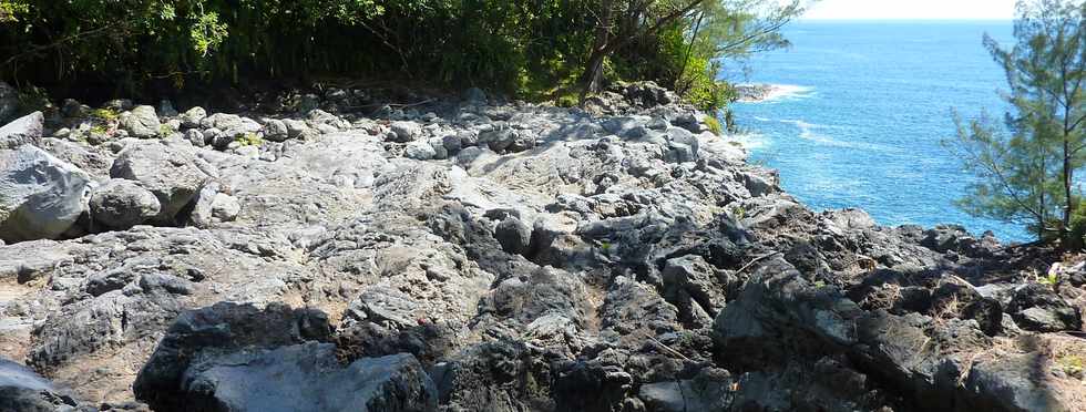 Dcembre 2013 - Ste-Rose - Sentier littoral vers les cascades -