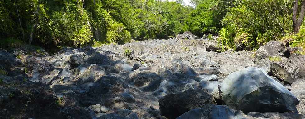 Dcembre 2013 - Ste-Rose - Sentier littoral vers les cascades -