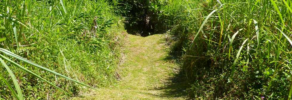 Dcembre 2013 - Ste-Rose - Sentier littoral vers les cascades -