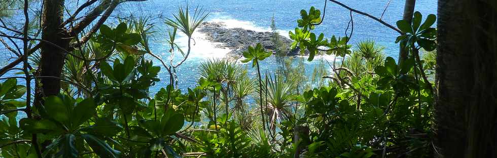 Dcembre 2013 - Ste-Rose - Sentier littoral vers les cascades -