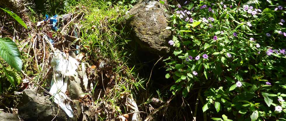 Dcembre 2013 - Ste-Rose - Sentier littoral vers les cascades -