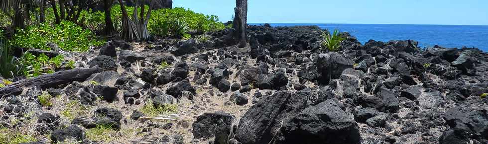 Dcembre 2013 - Ste-Rose - Sentier littoral - Pointe des Cascades -