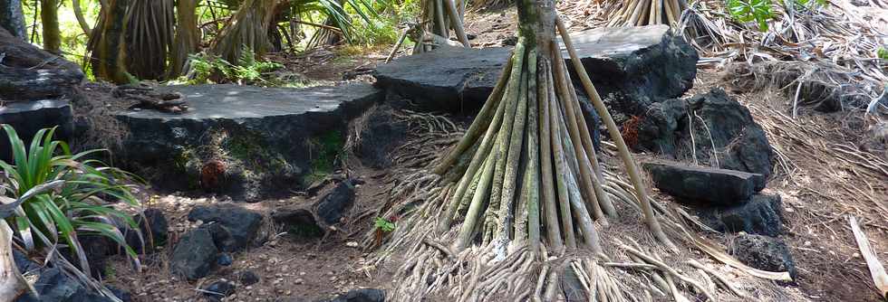 Dcembre 2013 - Ste-Rose - Sentier littoral -