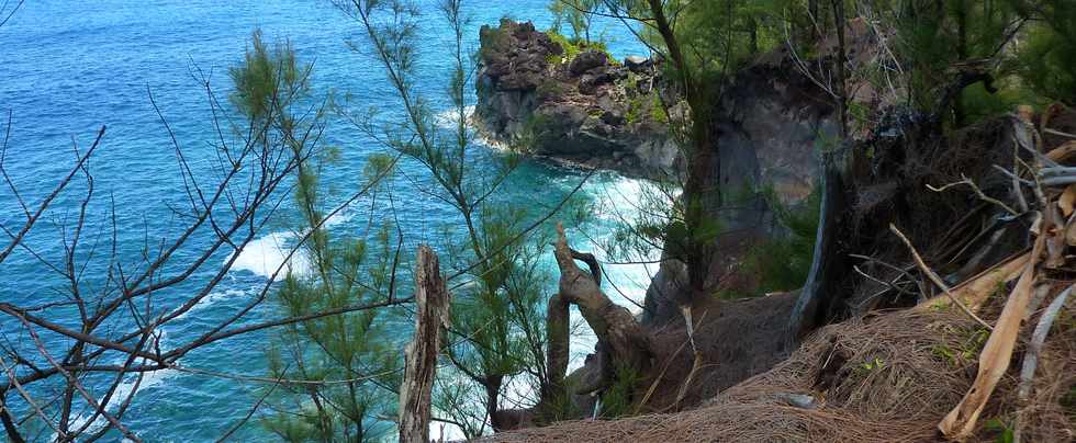 Dcembre 2013 - Ste-Rose - Sentier littoral -