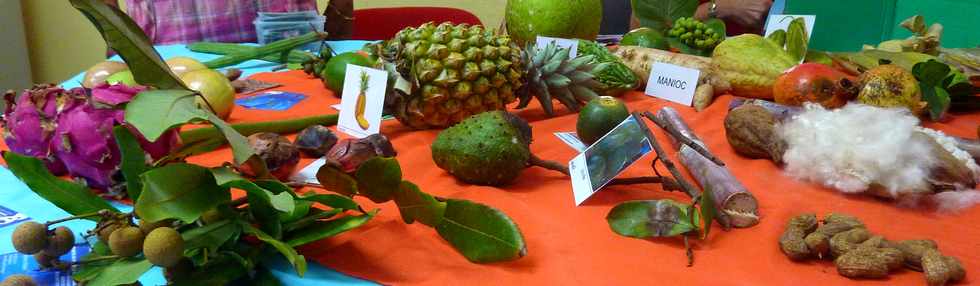 Médiathèque de St-Pierre - 25/01/14 - Fruits et légumes lontan avec l'association Pêcheurs Golèt de Grands Bois  -