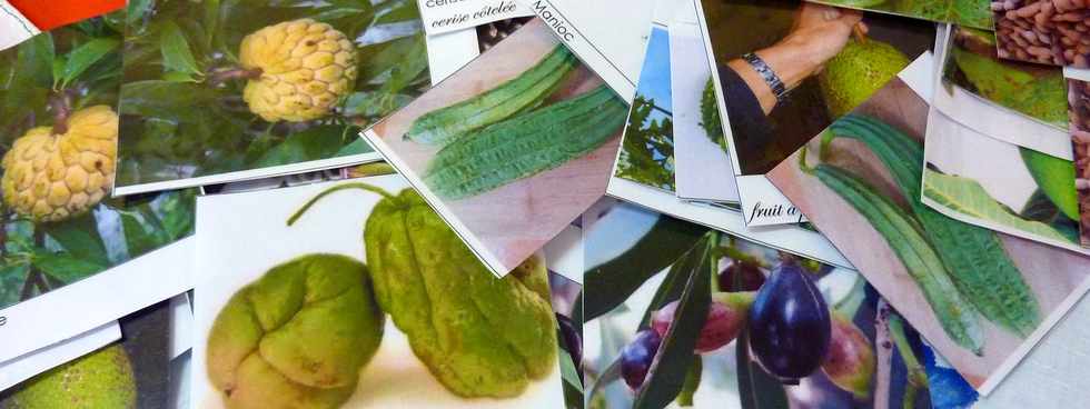 Mdiathque de St-Pierre - 25/01/14 - Fruits et lgumes lontan avec l'association Pcheurs Golt de Grands Bois  -