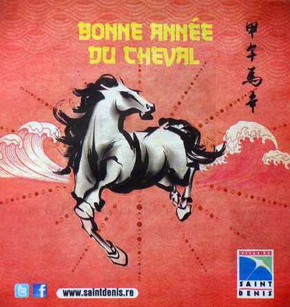 31 janvier 2014 - Anne du cheval de bois - Pub St-Denis