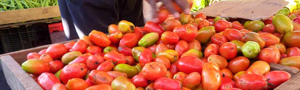 22 fvrier 2014 - March forain de St-Pierre -  Tomates plein champ