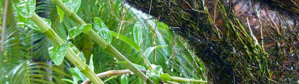 23 mars 2014 - Jour de pluie