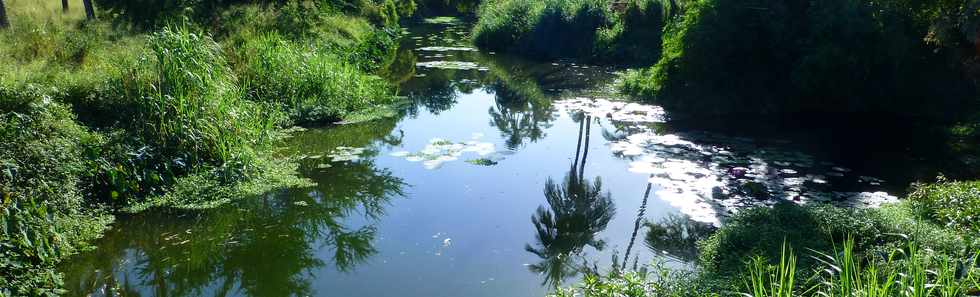 Avril 2014 - St-Paul - Etang Grande Fontaine