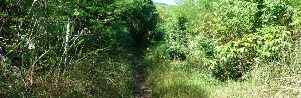 Avril 2014 - St-Paul - Tour des Roches - Chemin Macabit -