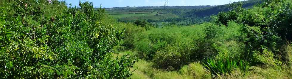 Avril 2014 - St-Paul - Tour des Roches - Chemin Macabit -