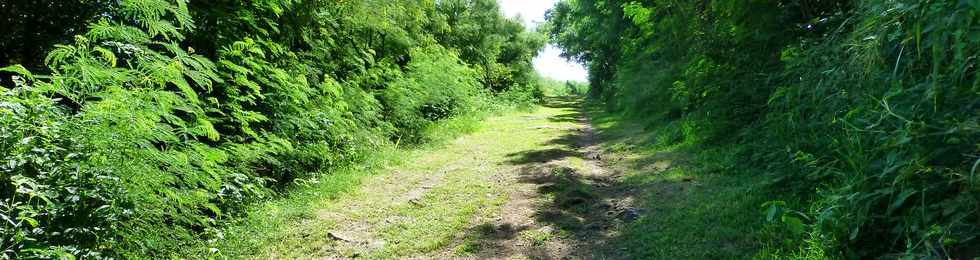 Avril 2014 - St-Paul - Tour des Roches - Chemin Macabit -