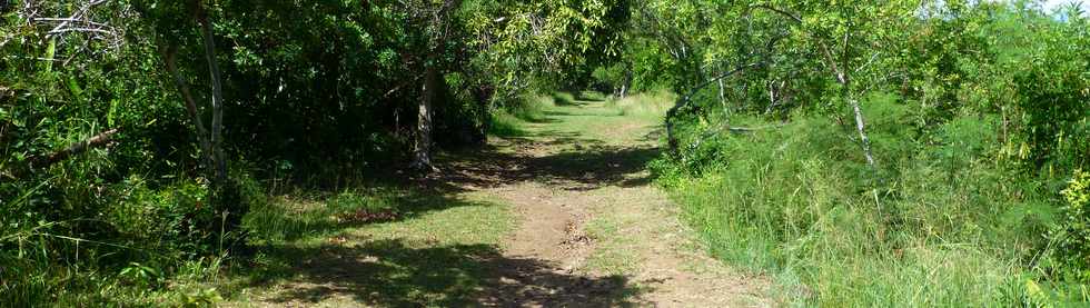 Avril 2014 - St-Paul - Tour des Roches - Chemin Macabit -