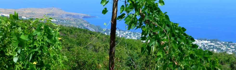 4 avril 2014 - St-Paul - Bellemne - Vue sur le Cap la Houssaye