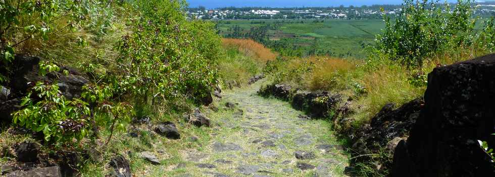 4 avril 2014 - St-Paul - Bellemne - Chemin pav Lougnon