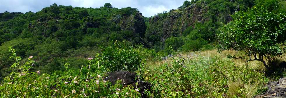 4 avril 2014 - St-Paul - Chemin pav Lougnon - Ravine Athanase