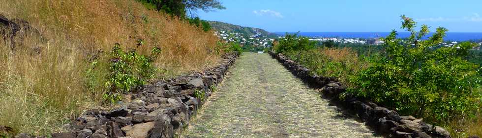 4 avril 2014 - St-Paul - Chemin pav Lougnon -