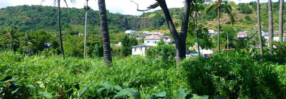 18 avril 2014 - St-Paul - Rosalie, ti train touristique - Tamarun - Ravine Athanase