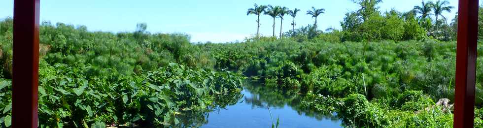 18 avril 2014 - St-Paul - Rosalie, ti train touristique - Tamarun - Canaux de l'tang