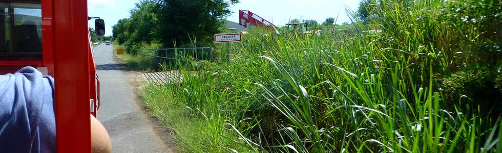 18 avril 2014 - St-Paul - Rosalie, ti train touristique - Tamarun - Savanna