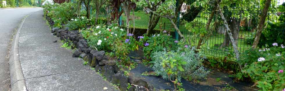 Juin 2014 - Ste-Rose - Ravine Glissante - Parterres devant l'cole