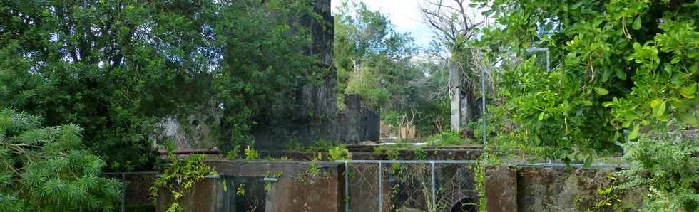 Juin 2014 - Ste-Rose - Ancienne usine sucrire de Ravine Glissante - Chantier cole insertion