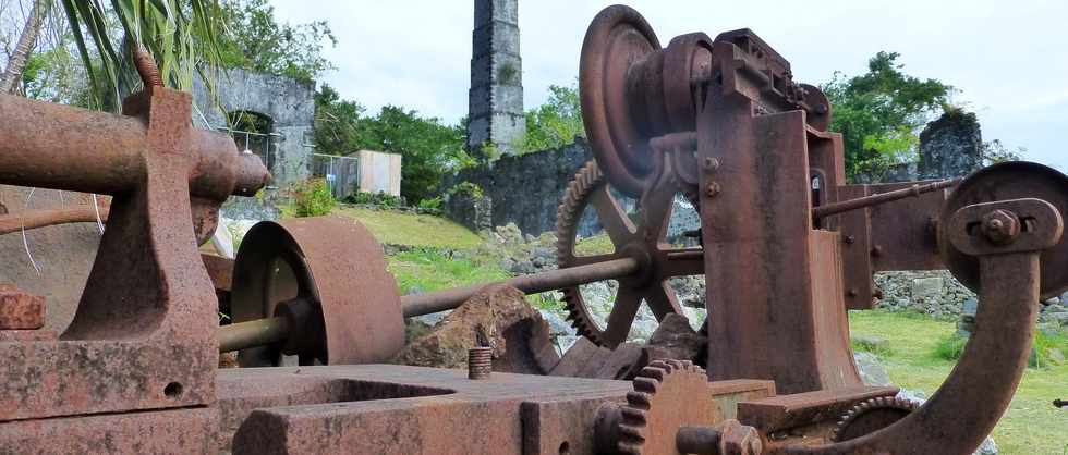 Juin 2014 - Ste-Rose - Ancienne usine sucrire de Ravine Glissante - Chantier cole insertion