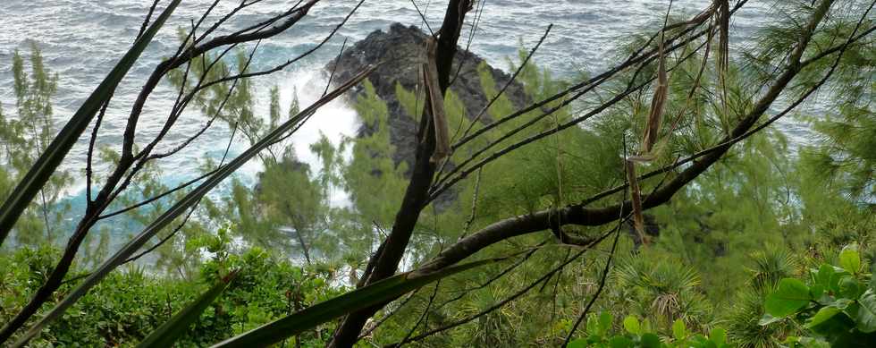 Juillet 2014 - Ste-Rose - Sentier littoral -   Pointe Rouge