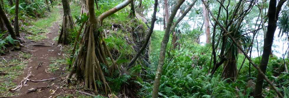 Juillet 2014 - Ste-Rose - Sentier littoral vers la Pointe Rouge