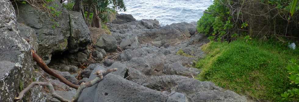 Juillet 2014 - Ste-Rose - Sentier littoral -  Ravine Plate - aval