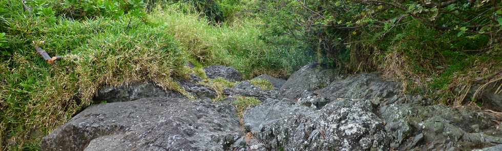 Juillet 2014 - Ste-Rose - Sentier littoral -  Ravine Plate -amont