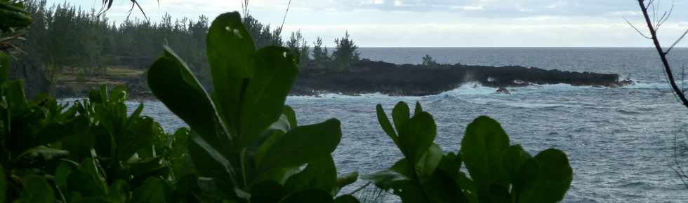 Juillet 2014 - Ste-Rose - Sentier littoral -  Coule 1977