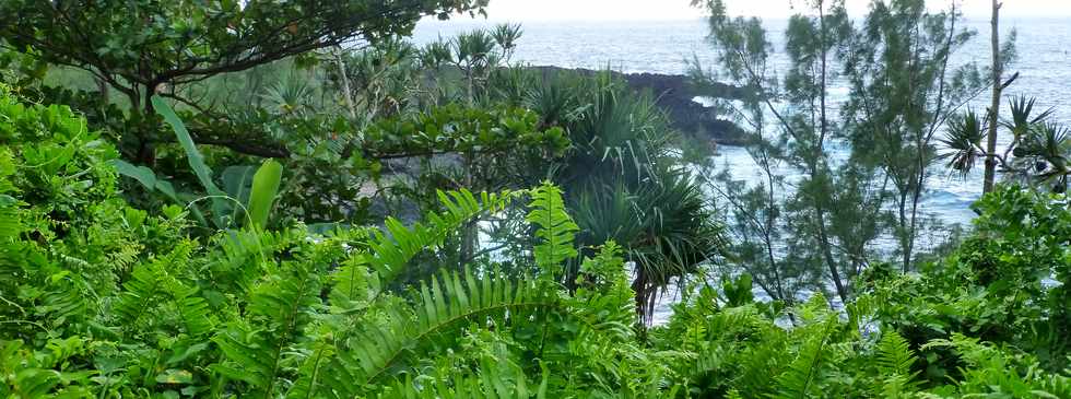 Juillet 2014 - Ste-Rose - Sentier littoral -  Coule de 1977