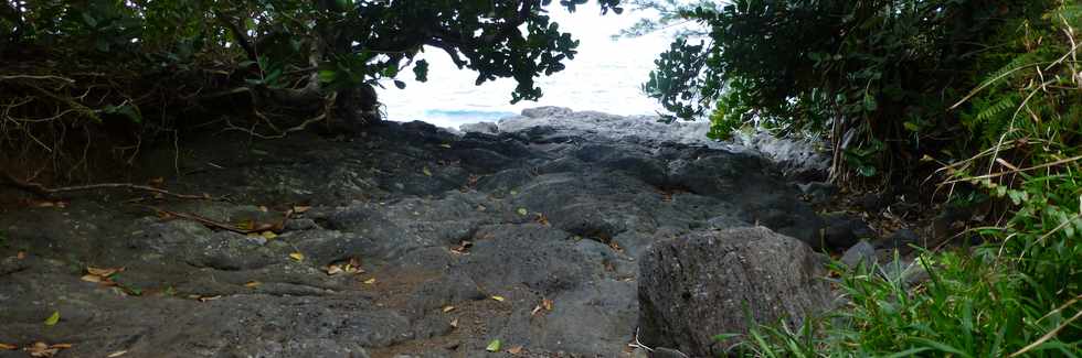 Juillet 2014 - Ste-Rose - Sentier littoral -  Ravine Mimi