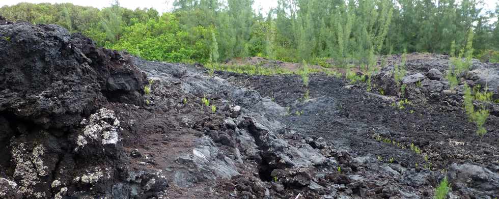 Aot 2014 - Ste-Rose - Sentier littoral - Traverse de la coule de 1977 -