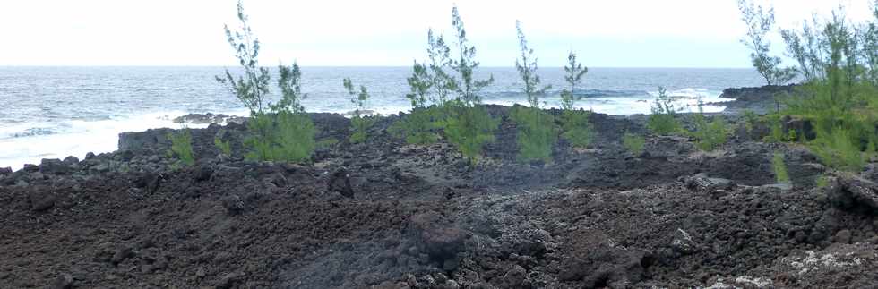 Aot 2014 - Ste-Rose - Sentier littoral - Traverse de la coule de 1977 -