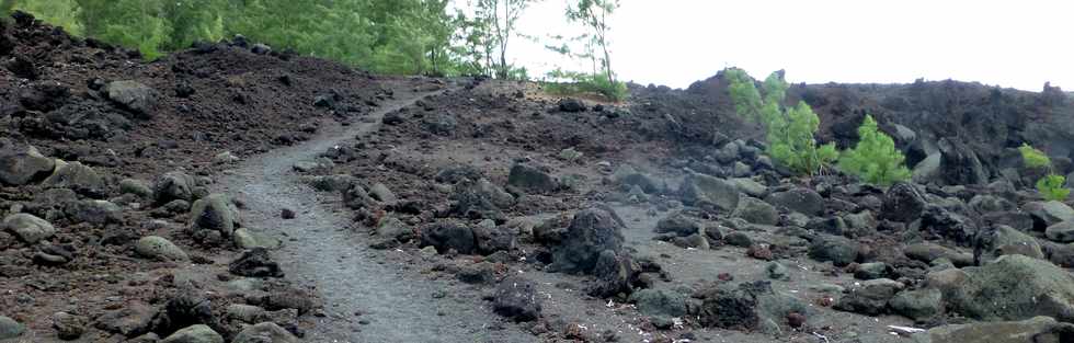 Aot 2014 - Ste-Rose - Sentier littoral - Traverse de la coule de 1977 -