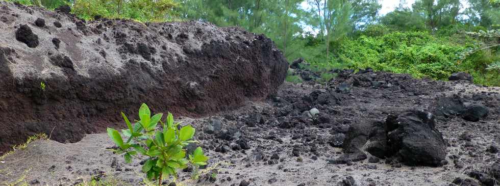 Aot 2014 - Ste-Rose - Sentier littoral - Traverse de la coule de 1977 -